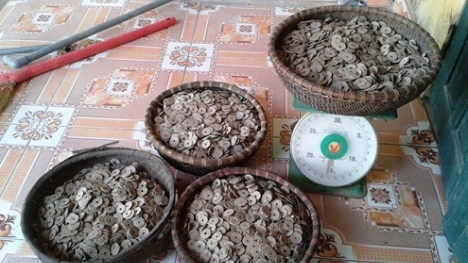 Phát hiện 'kho báu' chứa 50kg tiền cổ ở Hà Nam
