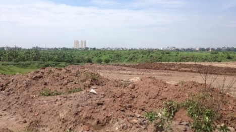 Sự thật tin đồn xây nghĩa trang ở bãi giữa sông Hồng