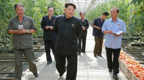 Hàn Quốc: Kim Jong-un đã hành quyết 70 quan chức kể từ khi nắm quyền