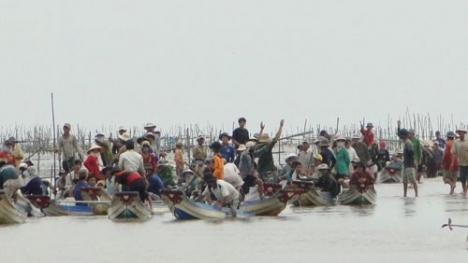 Vụ hàng trăm người cướp bãi nghêu tại Bạc Liêu: Nguyên nhân do đâu?