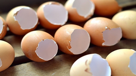 Vỏ trứng và công dụng bất ngờ ít biết 