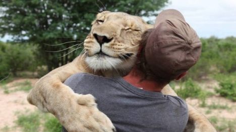 Video: Cuộc chiến gay cấn giữa chúa sơn lâm và nam thanh niên