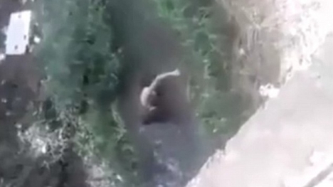 Video: Vợ kéo lê bồ nhí của chồng rồi ném xuống hồ