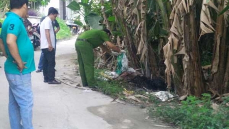 Phát hiện thi thể cô gái dưới hố, nhiều cành cây che phủ