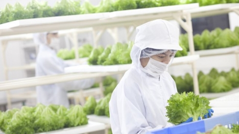 Nông trại hoàn toàn tự động đầu tiên trên thế giới