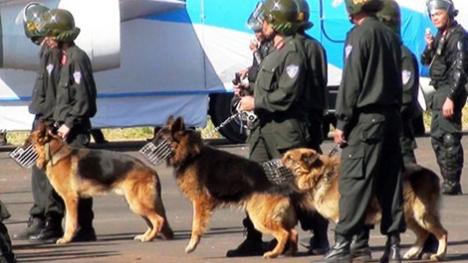 Hơn 100 cảnh sát cùng chó nghiệp vụ bao vây, đột kích phá ổ ma tuy