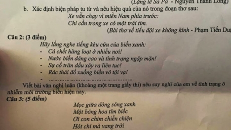 Hiện tượng cá chết hàng loạt vào đề thi lớp 10 môn Văn