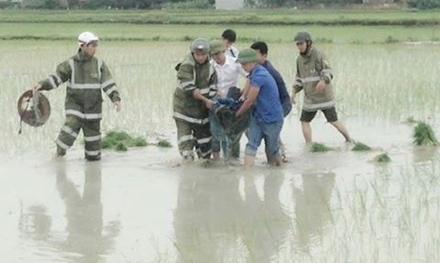 Xuống Hà Nội cấy thuê, một người phụ nữ bị sét đánh tử vong