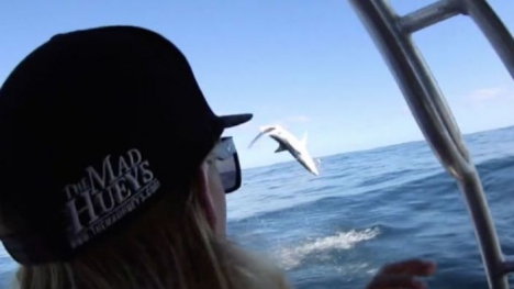 Video: Hy hữu cảnh cá mập tung mình lên khỏi mặt nước