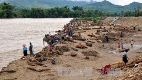 Người dân Yên Bái liều xuống dòng lũ xiết vớt gỗ