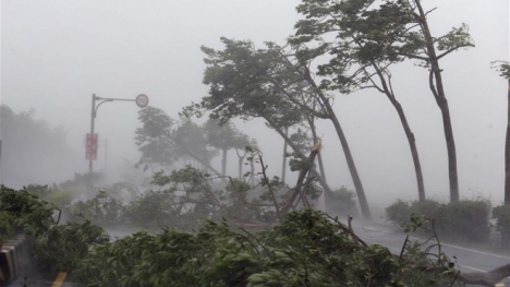 Tin mới nhất về siêu bão Meranti: Giật cấp 17, đổ bộ vào Trung Quốc