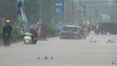 Quảng Bình: Mưa lớn kèm lũ quét khiến nhiều ô tô bơi trên đường