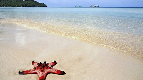 Top 4  địa điểm vui chơi Phú Quốc khiến du khách chao đảo