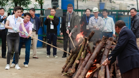 Á hậu Huyền My tham dự buổi tiêu hủy ngà voi và sừng tê giác