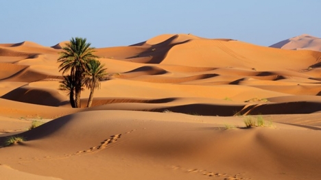 Những sự thật thú vị về sa mạc Sahara