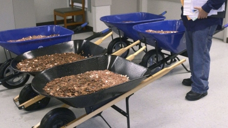 Hy hữu người đàn ông đẩy 725 kg tiền xu để đi đóng thuế