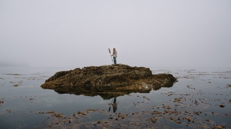 Cuộc sống trên đảo vây quanh bởi gấu đen và cá voi