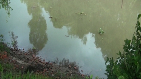 An Giang: Hai bà cháu ngã sông chết đuối