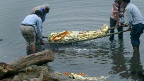 Cậu bé bị rắn độc cắn chết bất ngờ trở về sau 11 năm