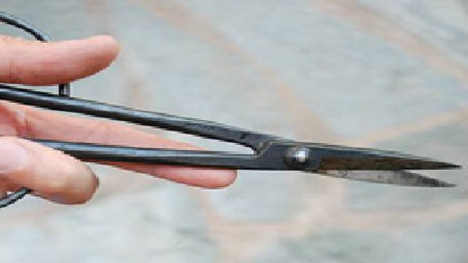 Mẹ chồng dùng kéo đâm con dâu ngay tại tiệc sinh nhật cháu trai chỉ vì 'lỡ lời'