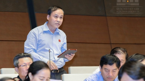 Đại biểu Quốc hội: Tham nhũng giống như sâu mọt, đề nghị phải có danh hiệu “dũng sĩ diệt tham nhũng”