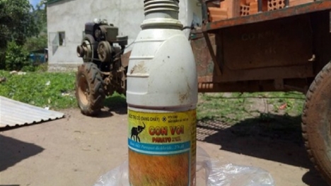 Thấy có lỗi sau khi đánh người, nam thanh niên uống thuốc diệt cỏ tự tự