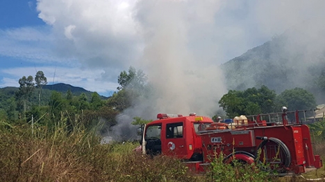 Dân tự ý đốt rác gây cháy bìa rừng Sơn Trà suốt 1 giờ đồng hồ