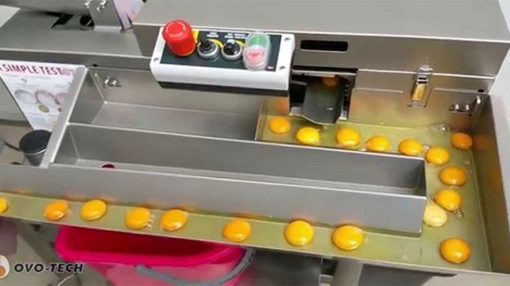 Máy tách lòng đỏ với lòng trắng trứng không tì vết, có thể tách 1.800 quả/1h
