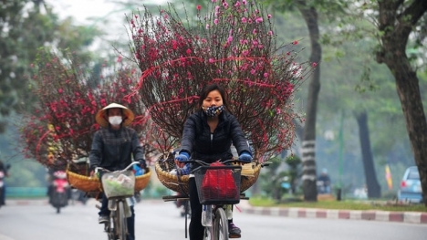 Dự báo thời tiết hôm nay và 10 ngày tới trên cả nước thời hạn từ 9-19/1: Đêm không mưa, trời rét