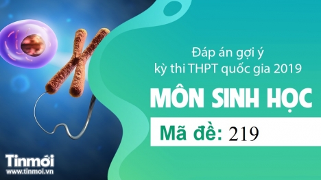 Đáp án gợi ý môn Sinh học tốt nghiệp THPT quốc gia năm 2019 mã đề 219- Tin Mới cập nhật