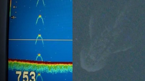 Hình ảnh vệ tinh và sóng siêu âm thu được cho thấy quái vật hồ Loch Ness có thể là có thật