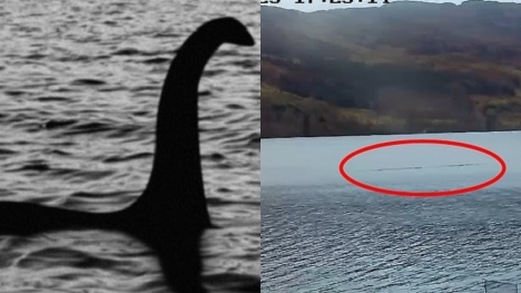 Hình ảnh rõ như ban ngày về quái vật hồ Loch Ness mà người người đang ráo riết truy tìm 