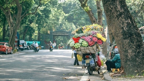 Tháng 11 không khí lạnh tăng cường, nhiệt độ chưa giảm sâu