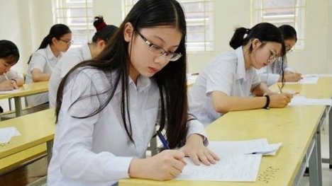 Đáp án đề thi môn Sinh học kỳ thi tốt nghiệp THPT 2023 mã đề 217