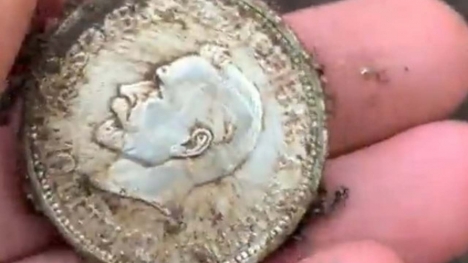 Thợ săn kho báu tìm thấy 32 đồng tiền xu của Đức Quốc xã được giấu ở địa điểm bí ẩn