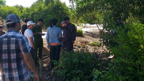 Giám đốc Trung tâm Văn hóa tỉnh Quảng Nam tử vong trong tư thế treo cổ trong rừng cây