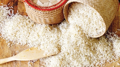 Giá lúa gạo hôm nay 4/9: Tiếp tục đà tăng mạnh