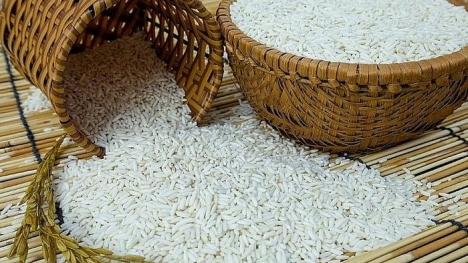 Giá lúa gạo hôm nay 22/11: Gạo bật tăng nhẹ, lúa đi ngang