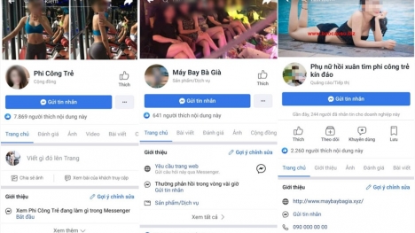 Nhiều 'phi công trẻ' sập bẫy 'lái máy bay bà già' với thu nhập 5-10 triệu/đêm