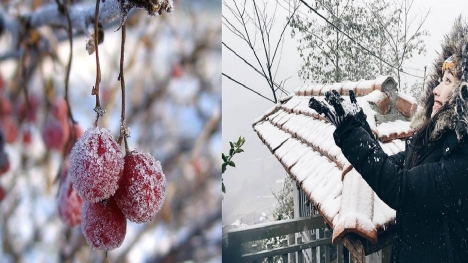 Chuyên gia cảnh báo: Mùa đông năm nay miền Bắc rét đậm rét hại, gia tăng xu hướng thời tiết cực đoan