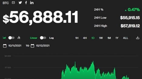 Giá bitcoin hôm nay 12/10: Sắp cán mốc 57.000 USD, thị trường đồng loạt giảm giá