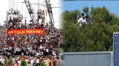 Hài hước: CĐV giải Tây Ban Nha trèo lên ngọn cây xem bóng đá như V-League