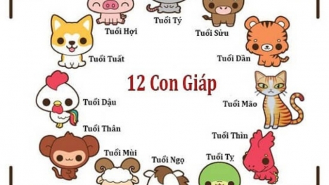 Tử vi 12 con giáp hôm nay ngày 9/6/2023: Tuổi Sửu đón tin vui, tuổi Dậu sa sút vì tự kiêu