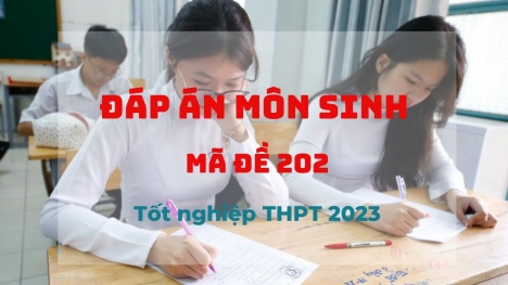 Đáp án môn Sinh học mã đề 202 kỳ thi tốt nghiệp THPT 2023