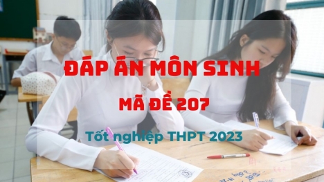 Đáp án môn Sinh học mã đề 207 kỳ thi tốt nghiệp THPT 2023