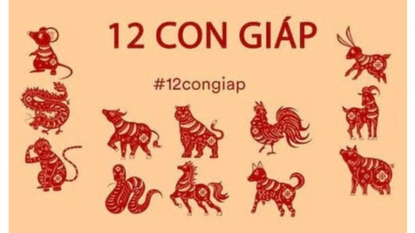 Tử vi 12 con giáp hôm nay ngày 3/9/2023: Tuổi Thìn nói ít làm nhiều, tuổi Mùi tranh chấp đồng nghiệp