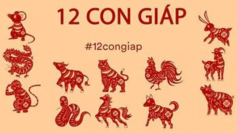 Tử vi 12 con giáp hôm nay ngày 5/9/2023: Tuổi Tý sức ì sự nghiệp lớn, tuổi Thân sức khỏe giảm sút