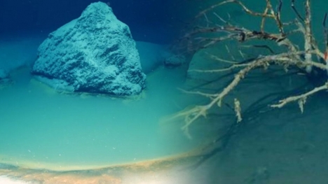 Vén màn bí ẩn về 'hồ tử thần' trong Biển Đỏ khiến nhiều sinh vật 'mất tích' khi ghé thăm