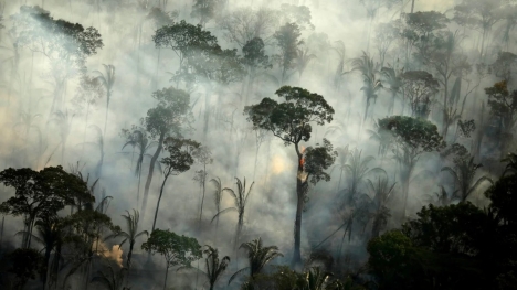 Thế giới đau đầu vì Covid-19, rừng Amazon tiếp tục bị hỏa thiêu