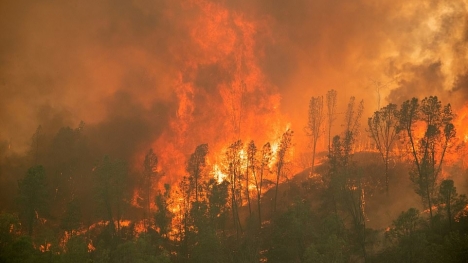 Cảnh tượng hỏa ngục khiến hàng trăm nghìn người California phải rời bỏ nhà cửa